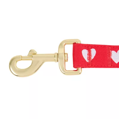 Product Top Paw® Valentines Day Dog Leash