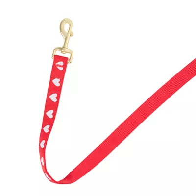 Product Top Paw® Valentines Day Dog Leash