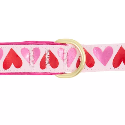 Product Top Paw® Valentines Day Dog Leash