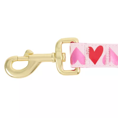 Product Top Paw® Valentines Day Dog Leash