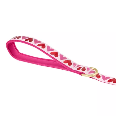 Product Top Paw® Valentines Day Dog Leash