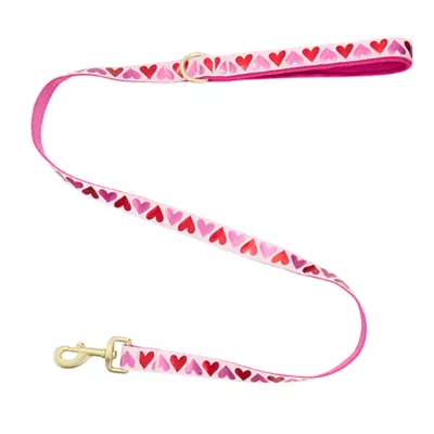 Product Top Paw® Valentines Day Dog Leash