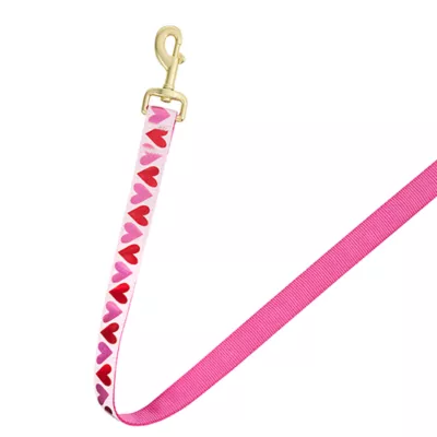 Product Top Paw® Valentines Day Dog Leash