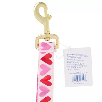 Product Top Paw® Valentines Day Dog Leash