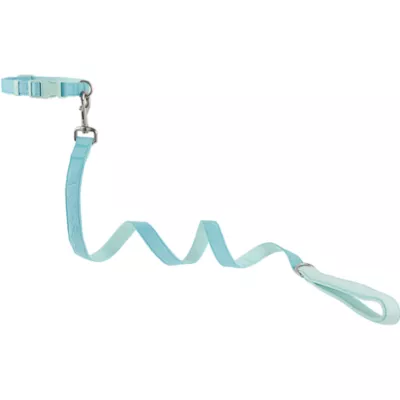 Product Top Paw® New Puppy Collar & Leash