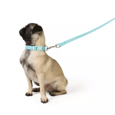 Top Paw® New Puppy Collar & Leash - Image 1