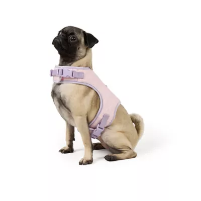 Top Paw® New Puppy Harness - Image 1