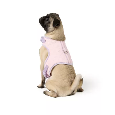 Top Paw® New Puppy Harness - Image 2