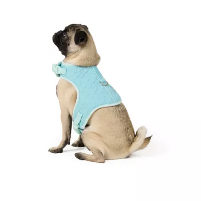Product Top Paw® New Puppy Harness