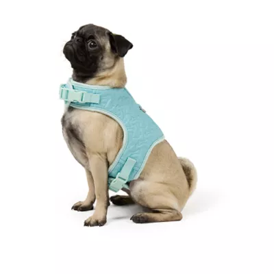 Top Paw® New Puppy Harness - Image 1