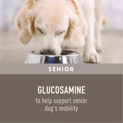 Simply Nourish Original Senior Wet Dog Food - Chicken & Rice Stew, 10 oz - Image 3