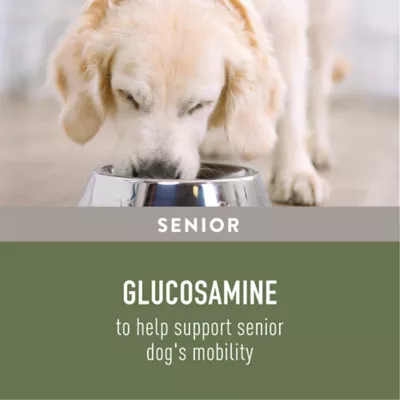 Simply Nourish Original Senior Wet Dog Food - Chicken & Vegetable, Grain Free, 10 oz - Image 3