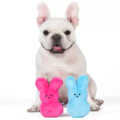 Peeps Bunny Plush Dog Toy - Image 3