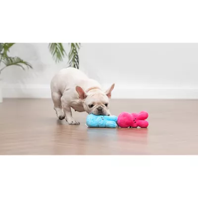 Peeps Bunny Plush Dog Toy - Image 4