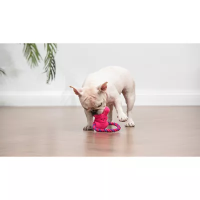 Peeps Bunny Rope Pull Dog Toy - Image 5