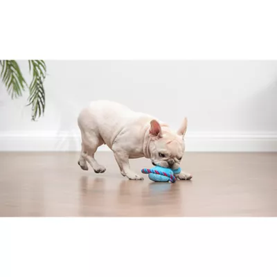 Peeps Bunny Rope Pull Dog Toy - Image 5