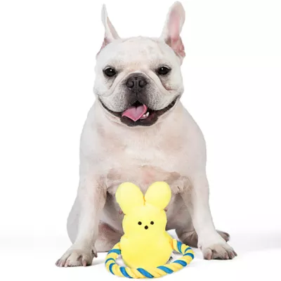 Peeps Bunny Rope Pull Dog Toy - Image 4