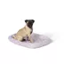 Top Paw® Plush Cloud and Rainbow Dog Crate Mat - X-Small, Small, Medium, Large, X-Large image thumbnail 2