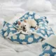 Product Lesure® Waterproof Blanket-Cloud