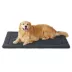 Bedsure® Thin Orthopedic Washable Bed image thumbnail 1