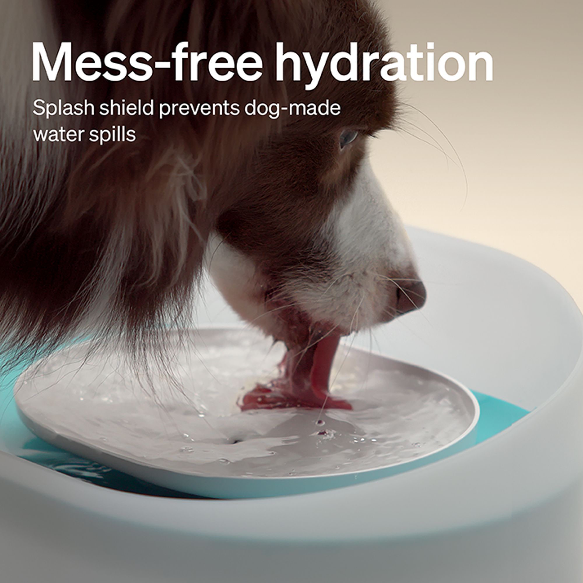 PETLIBRO Capsule Dog Fountain - thumbnail 3