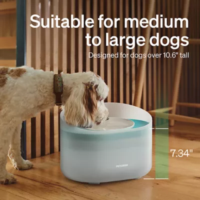 Product PETLIBRO Capsule Dog Fountain