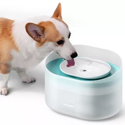 Product PETLIBRO Dog Fountain Filter