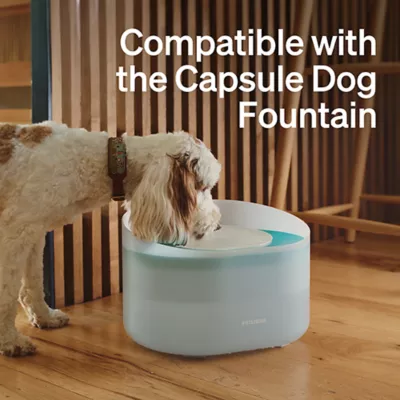 Product PETLIBRO Dog Fountain Filter