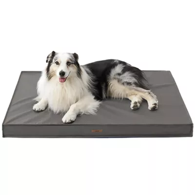 Product Lesure® Indoor & Outdoor Waterproof Dog Mat