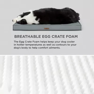 Product Lesure® Indoor & Outdoor Waterproof Dog Mat