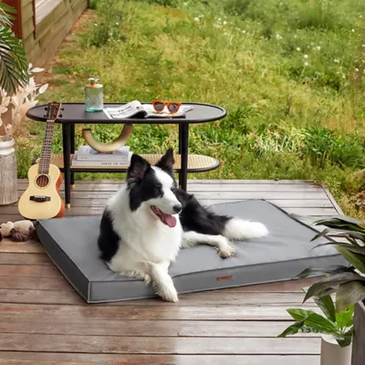 Product Lesure® Indoor & Outdoor Waterproof Dog Mat