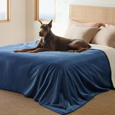Bedsure® Waterproof Dog Blankets, Sherpa Fleece Reversible Furniture Protector for Dog & Cat - Image 2