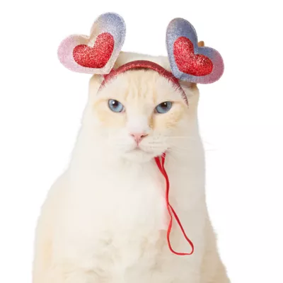 Product Top Paw® Valentine's Headband