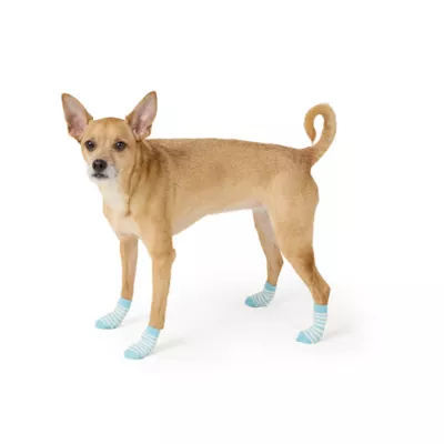Top Paw® New Puppy Socks - Image 2