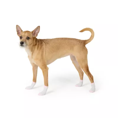 Product Top Paw® New Puppy Socks