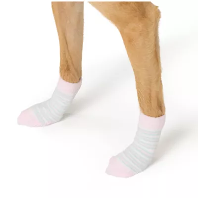 Product Top Paw® New Puppy Socks