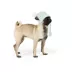 Top Paw® New Puppy Beanie image thumbnail 1