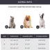 Bedsure® Dog Bed for Small Dogs, Round Cat Bed for Indoor Cats image thumbnail 7