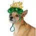 Top Paw® St Patty's Headband image thumbnail 1
