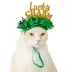 Top Paw® St Patty's Headband image thumbnail 2