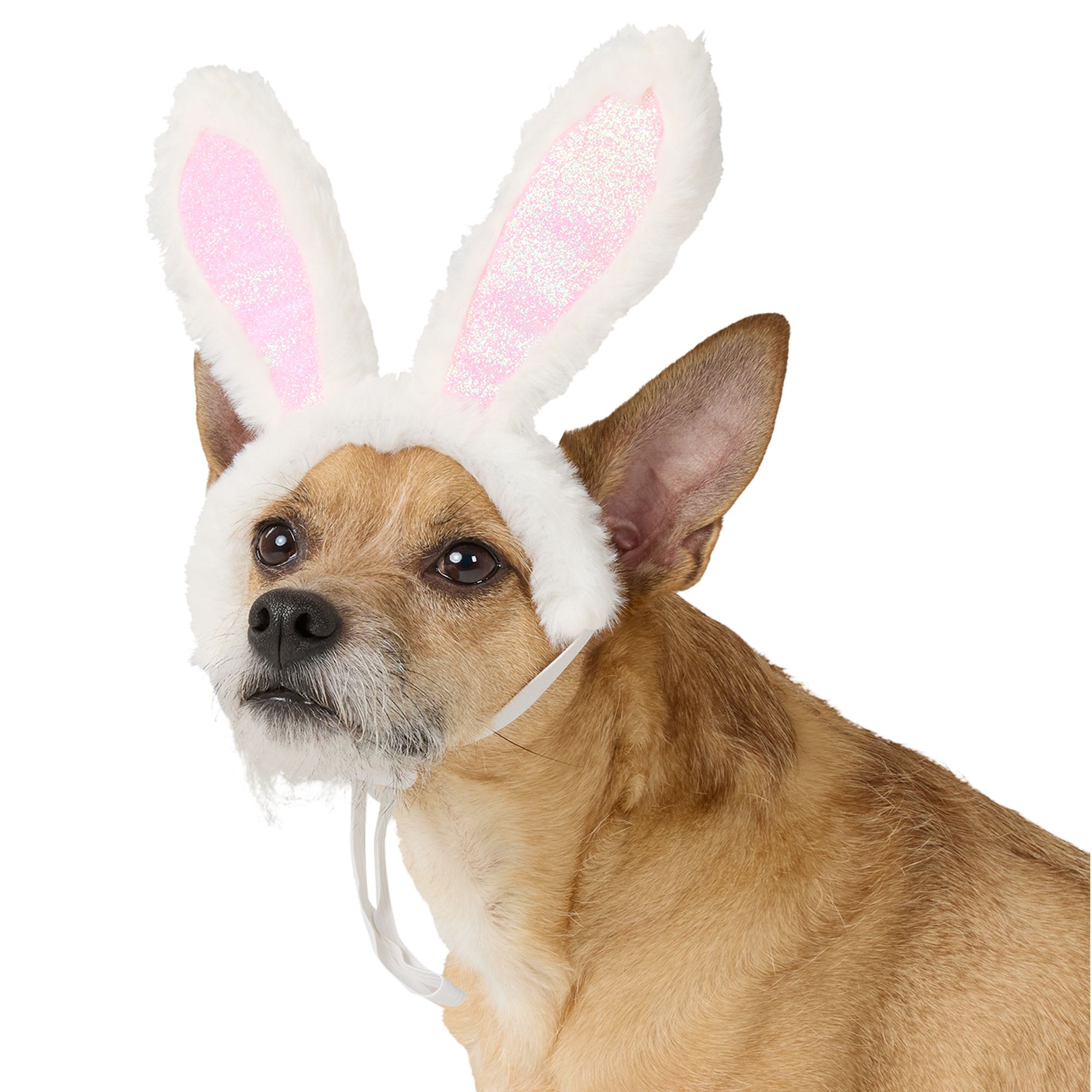 easter bunny ears