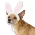 Top Paw® Easter Bunny Headband image thumbnail 1