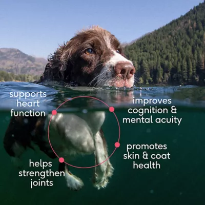 Product Native Pet Sockeye Salmon Oil, 8 Fl Oz