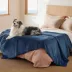 Bedsure® Waterproof Dog Blankets, Sherpa Fleece Reversible Furniture Protector for Dog & Cat image thumbnail 4