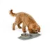 Top Paw® Non-Slip Mat Set image thumbnail 6