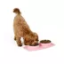 Top Paw® Non-Slip Mat Set image thumbnail 6