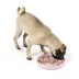 Top Paw® Slow Feeder Bowl image thumbnail 2