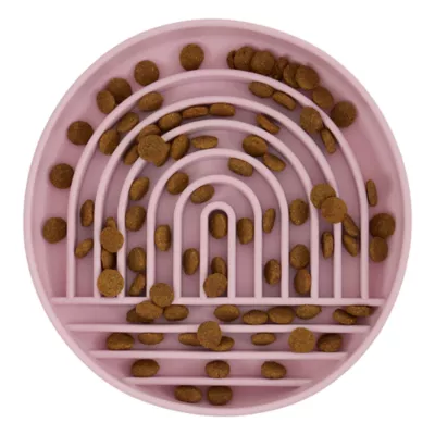 Product Top Paw® Slow Feeder Bowl