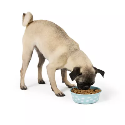 Product Top Paw® Anti-Slip Bowl