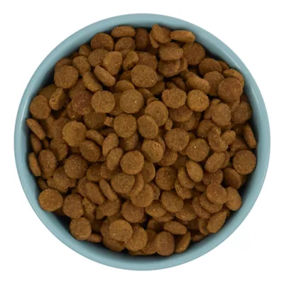 Product Top Paw® Anti-Slip Bowl
